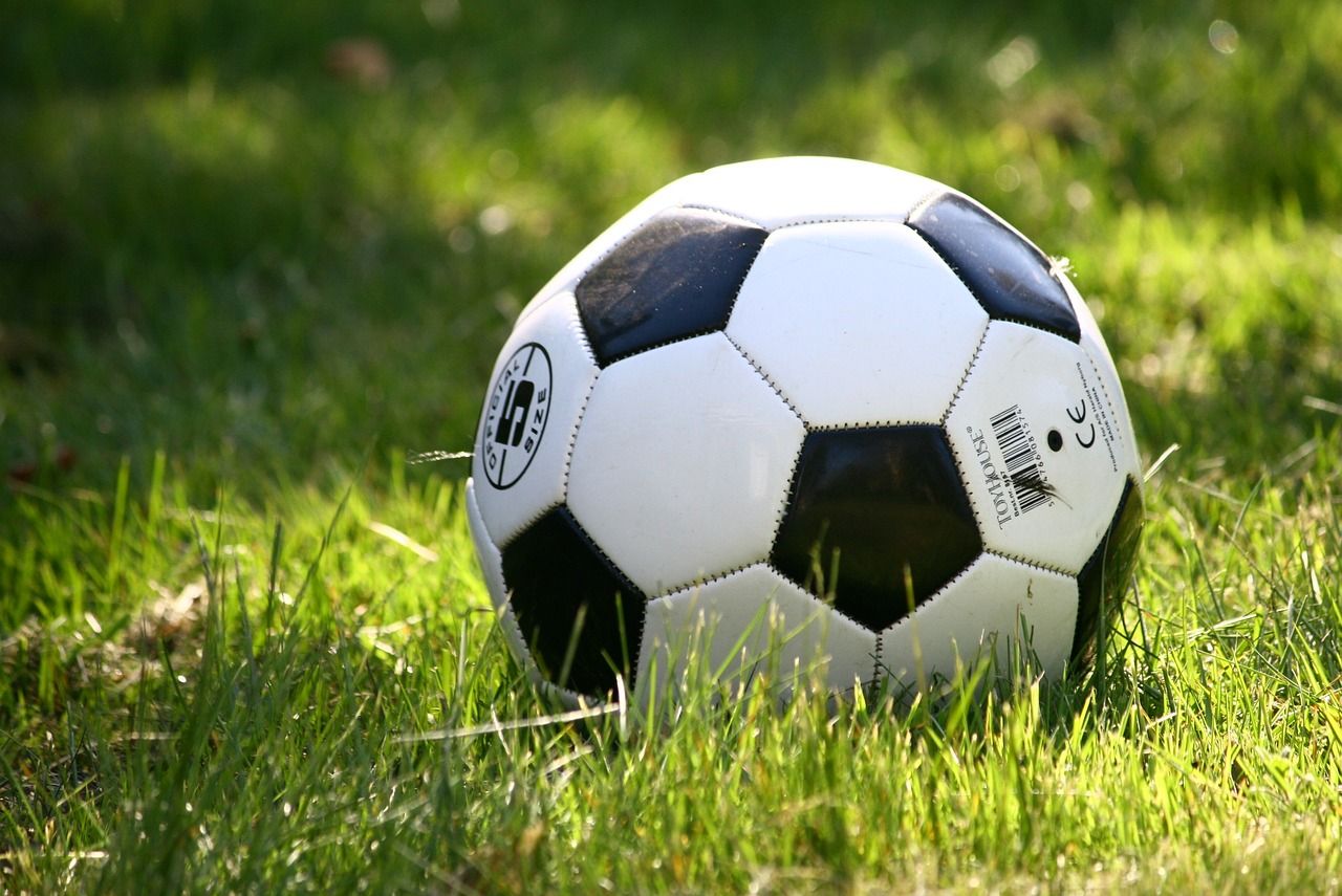 ČETVRTI „TROFEJ VUK ROGANOVIĆ“: Beograd domaćin spektakularnog turnira
