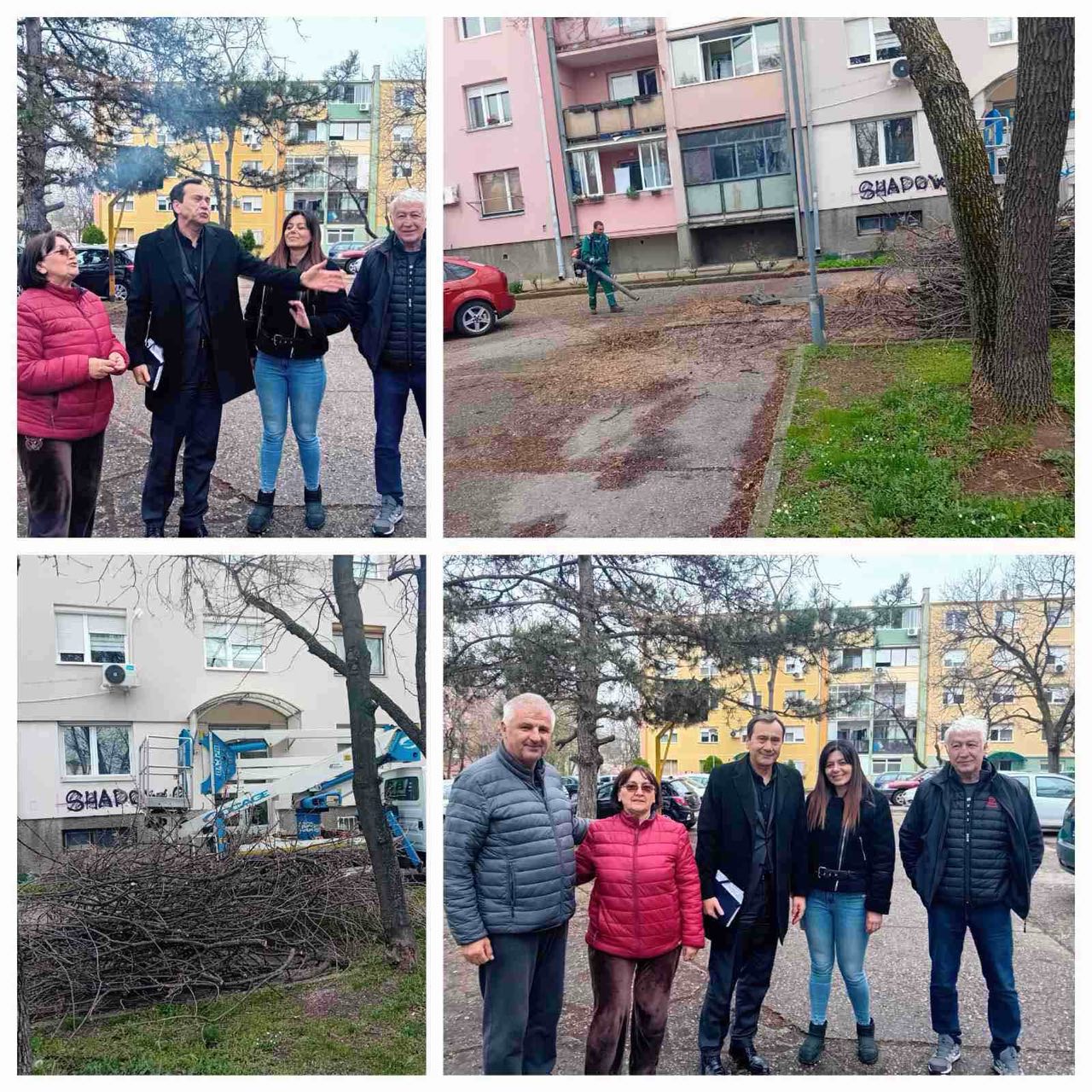 TRIJUMF EKOLOGIJE: Opština Voždovac Obezbedila Stabilnost Zelenih Površina