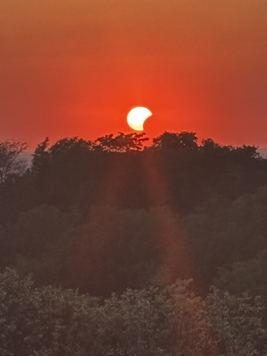 Delimično pomračeno Sunce iznad krošnji drveća, na narandžastom nebu pred zalazak