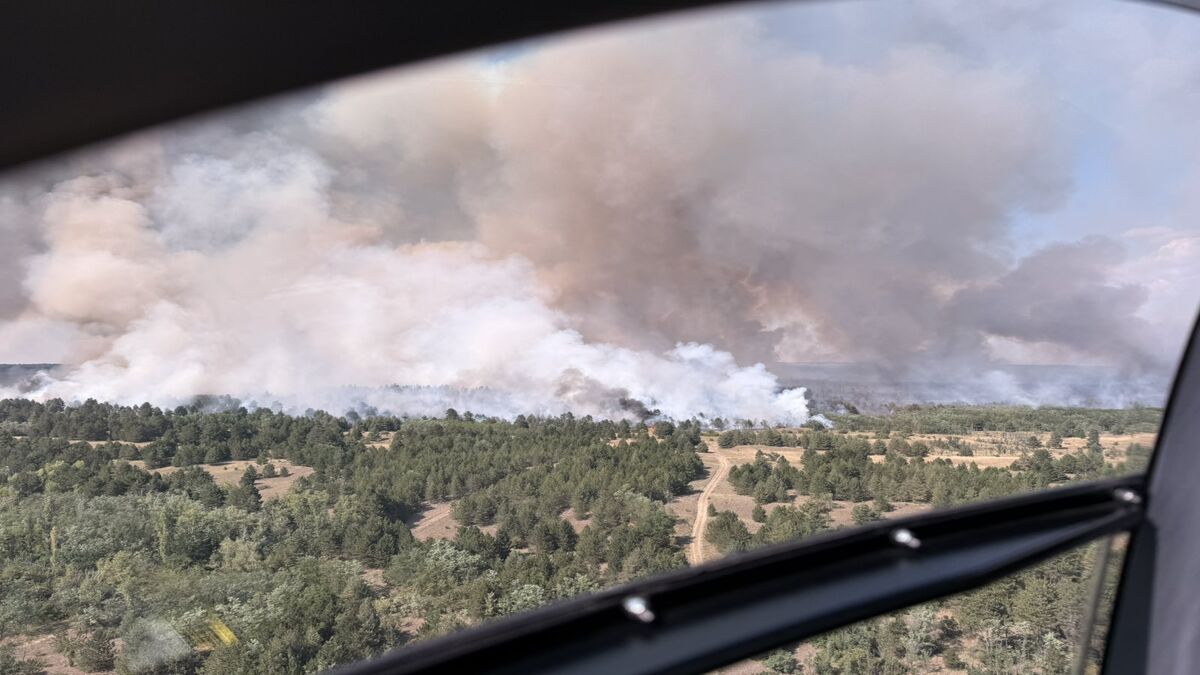 Snimak iz helikoptera: gust dim iznad šume u Deliblatskoj peščari