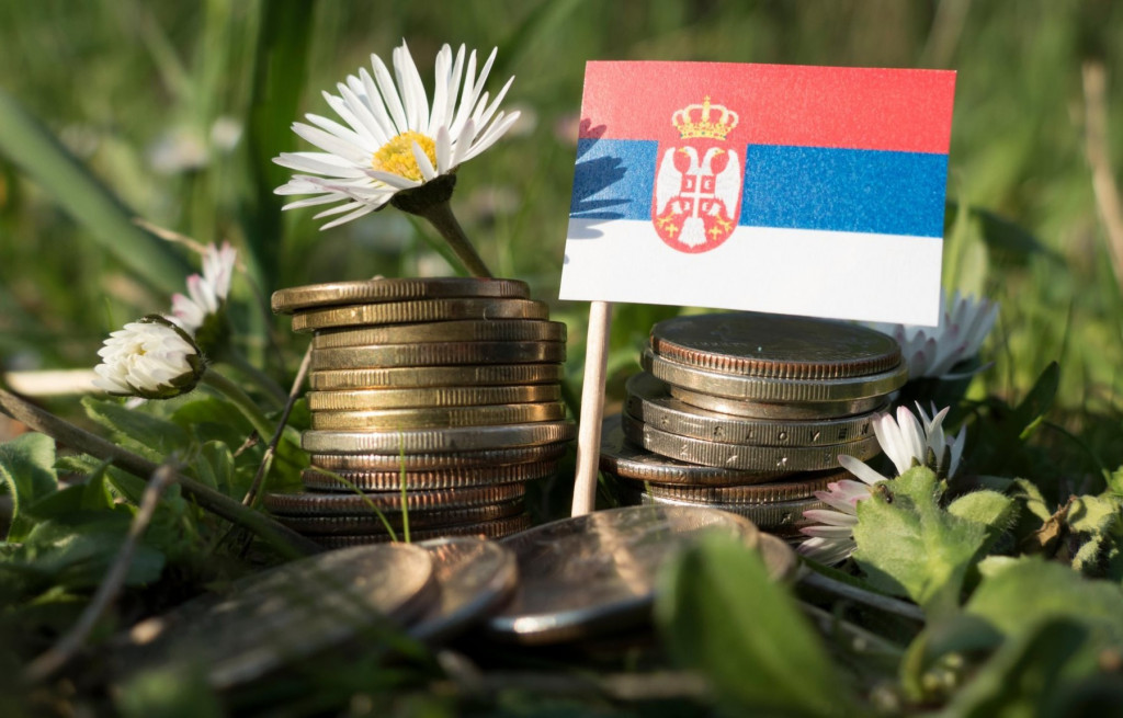 Kovanice i zastavica Srbije u travi